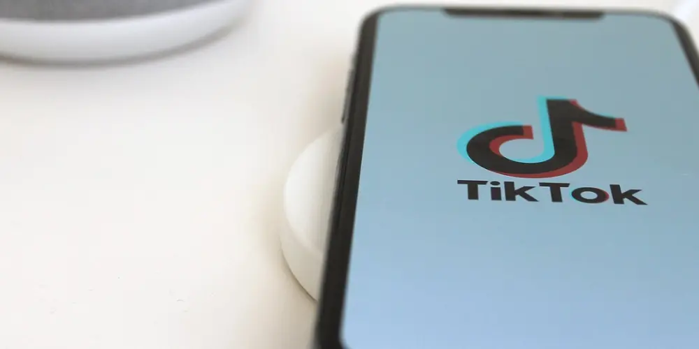 Gift Singa di TikTok Berapa Rupiah